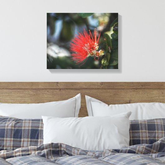Ohia Lehua Blossom Canvas Afdruk (Insitu (Slaapkamer))