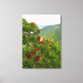 Ohia Lehua Blossoms Canvas Afdruk (Voorkant)