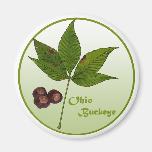 Ohio Buckeye-boom Magneet (Voorkant)