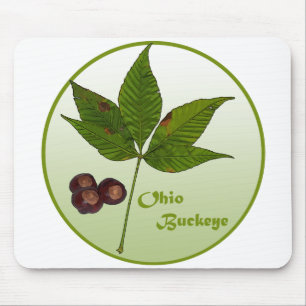 Ohio Buckeye-boom Muismat