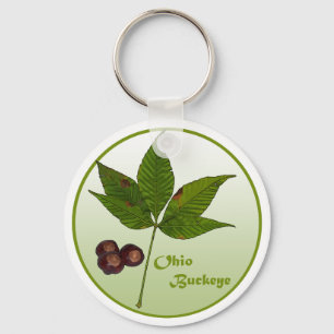 Ohio Buckeye-boom Sleutelhanger