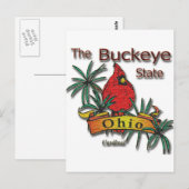 Ohio Buckeye Cardinaal Briefkaart (Voorkant / Achterkant)