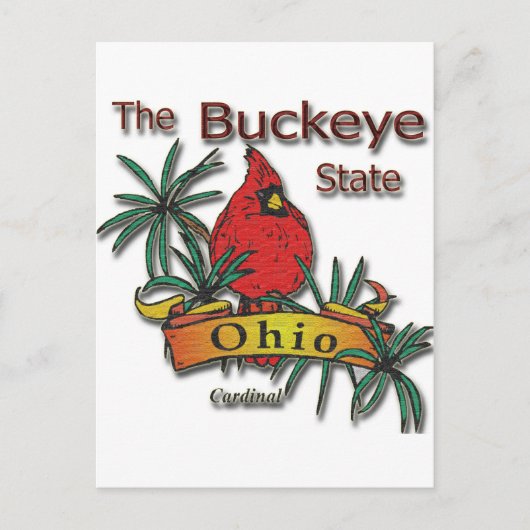 Ohio Buckeye Cardinaal Briefkaart (Voorkant)