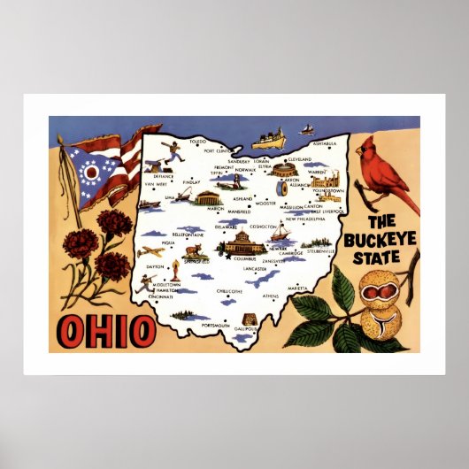Ohio Buckeye Staat 20x30 Ansichtkaart Poster (Voorkant)