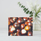 Ohio Buckeyes Briefkaart (Staand voorkant)