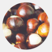 Ohio Buckeyes Ronde Sticker (Voorkant)