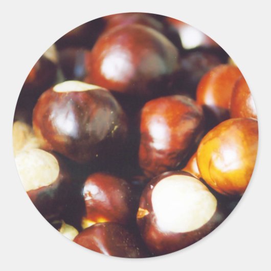 Ohio Buckeyes Ronde Sticker (Voorkant)