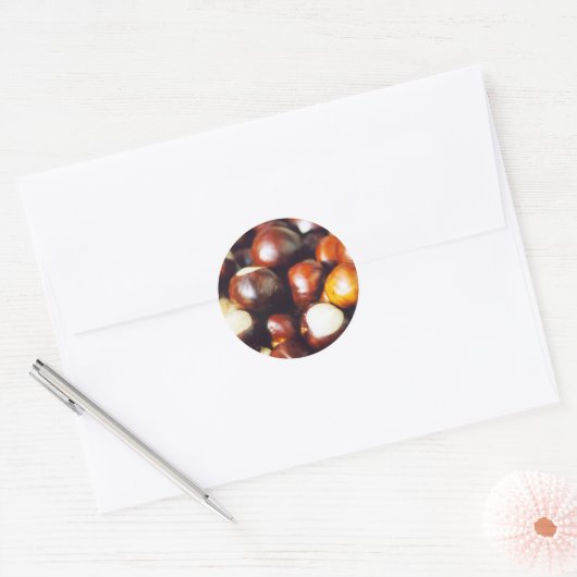 Ohio Buckeyes Ronde Sticker (Envelop)