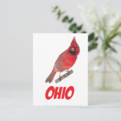 Ohio Cardinaal Briefkaart (Staand voorkant)