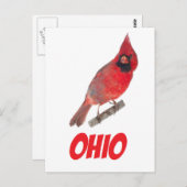 Ohio Cardinaal Briefkaart (Voorkant / Achterkant)