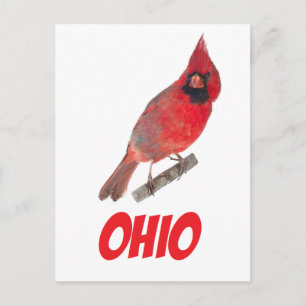 Ohio Cardinaal Briefkaart