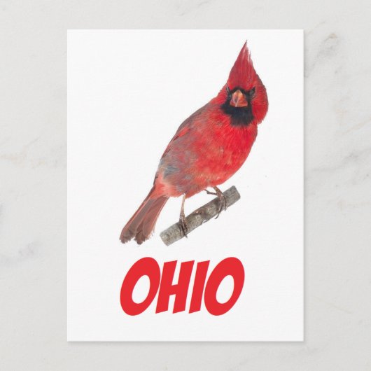 Ohio Cardinaal Briefkaart (Voorkant)