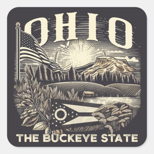 Ohio de Buckeye staat Vierkante Sticker (Voorkant)