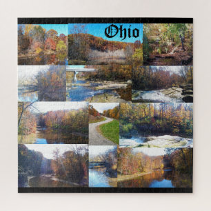 OHIO DE BUCKEYE STATE Puzzle Legpuzzel
