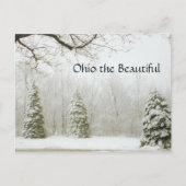 Ohio de Prachtige, 15 Briefkaart (Voorkant)