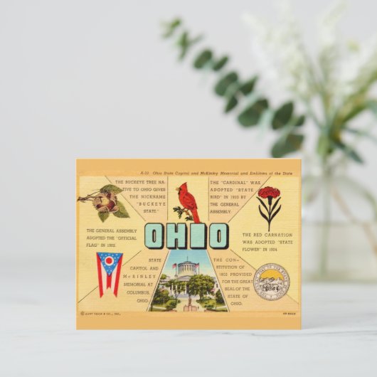  Ohio Feiten Briefkaart (Staand voorkant)