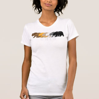 Ohio Gay Beer Distress T-shirt