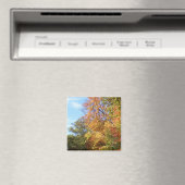 Ohio Herfst #3 Magneet (Insitu (Vaatwasser))