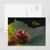 Ohio, herfst leder met not Briefkaart (Voorkant / Achterkant)