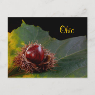 Ohio, herfst leder met not Briefkaart