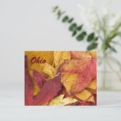 Ohio Herfstbladeren Ansichtkaart Briefkaart (Staand voorkant)