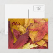 Ohio Herfstbladeren Ansichtkaart Briefkaart (Voorkant / Achterkant)