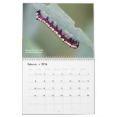 Ohio in de buitenlucht onderzoeken van de pijlers  kalender (Feb 2026)