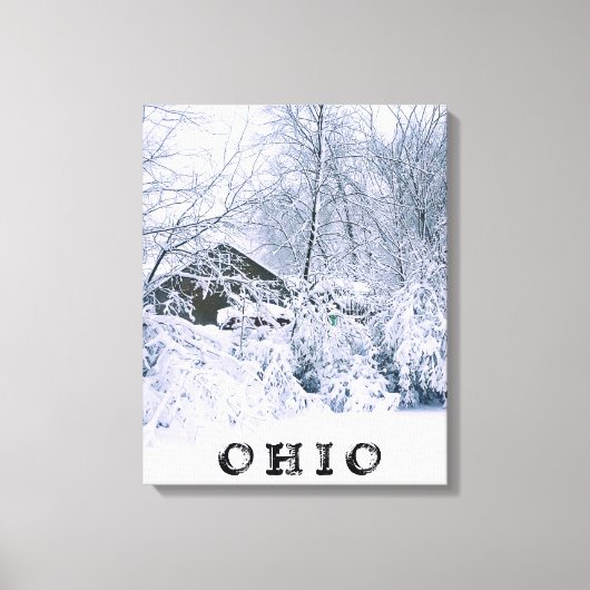OHIO IN WINTER 2020 CANVAS AFDRUK (Voorkant)