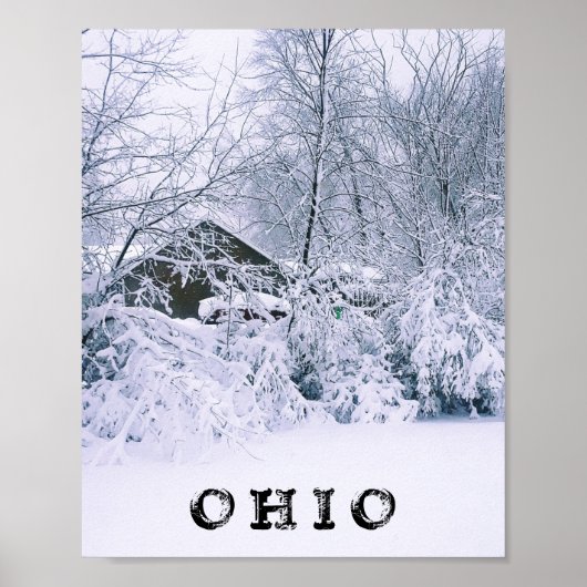 OHIO IN WINTER 2020 POSTER (Voorkant)