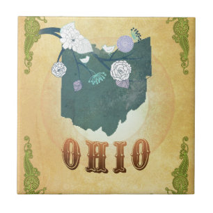 Ohio-kaart met mooie vogels tegeltje