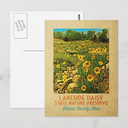 Ohio Lakeside Daisy Preserve Briefkaart (Voorkant / Achterkant)