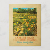 Ohio Lakeside Daisy Preserve Briefkaart (Voorkant)