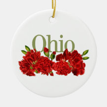  Ohio-Ornament met anjers