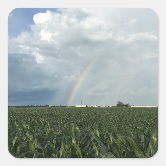 Ohio Rainbow Over Cornfield Vierkante Sticker (Voorkant)