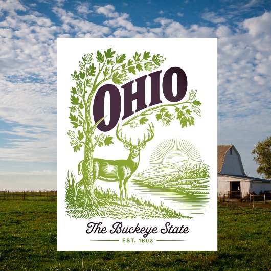 Ohio The Buckeye State Est. 1803 Travel Briefkaart