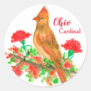 Ohio Vogel Kardinaal Rode Anjers Bloem Ronde Sticker