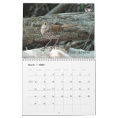 Ohio Vogels in mei Kalender (Mar 2026)