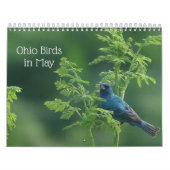 Ohio Vogels in mei Kalender (Hoes)