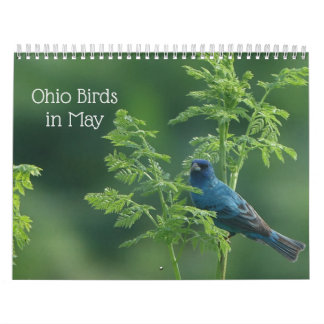 Ohio Vogels in mei Kalender
