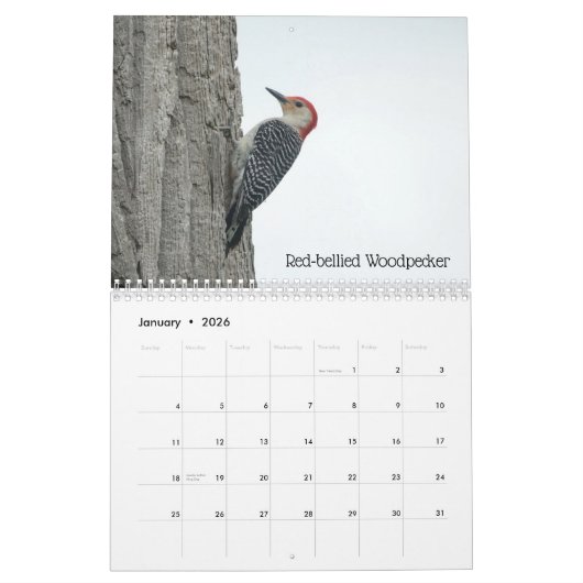 Ohio Vogels in mei Kalender (Jan 2026)