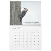 Ohio Vogels in mei Kalender (Jan 2027)
