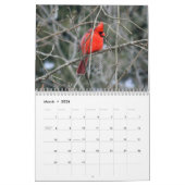 Ohio Wild Birds Kalender (Mar 2026)