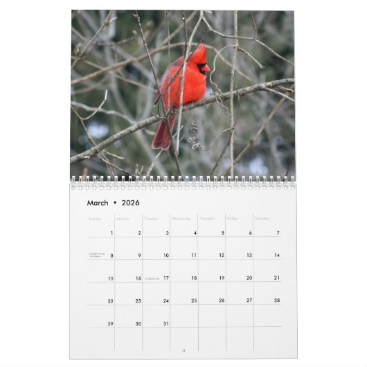 Ohio Wild Birds Kalender (Mar 2026)