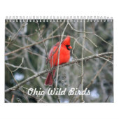Ohio Wild Birds Kalender (Hoes)