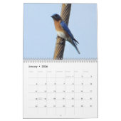 Ohio Wild Birds Kalender (Jan 2026)