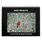 OHIO WILDLIFE CALENDAR-A KALENDER (Hoes)