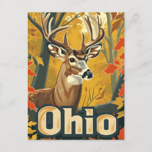Ohio witstaarthert briefkaart