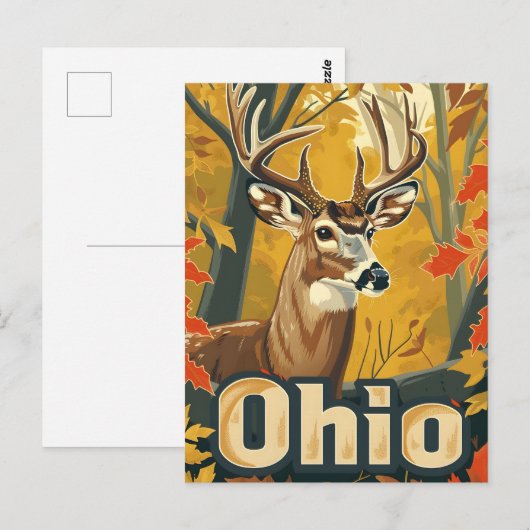 Ohio witstaarthert briefkaart (Voorkant / Achterkant)