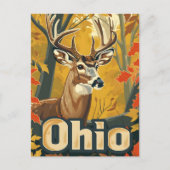 Ohio witstaarthert briefkaart (Voorkant)