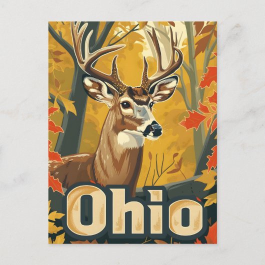 Ohio witstaarthert briefkaart (Voorkant)